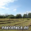 pakshenga_2011_64_ 